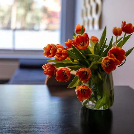 Baltic 3* بوغورزيلكا