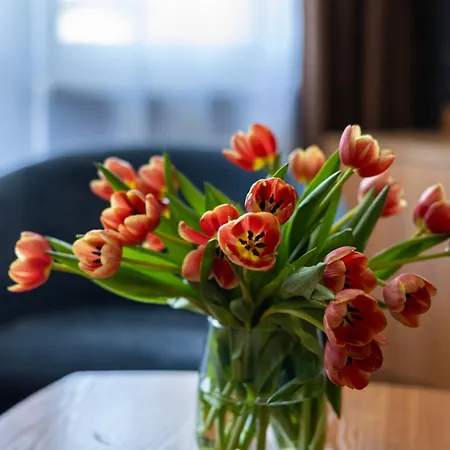 Baltic منتجع بوغورزيلكا