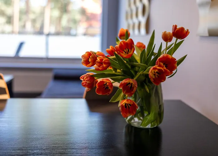 Baltic 3* Pogorzelica