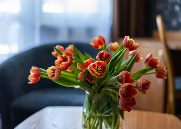 Baltic Üdülőközpont Pogorzelica